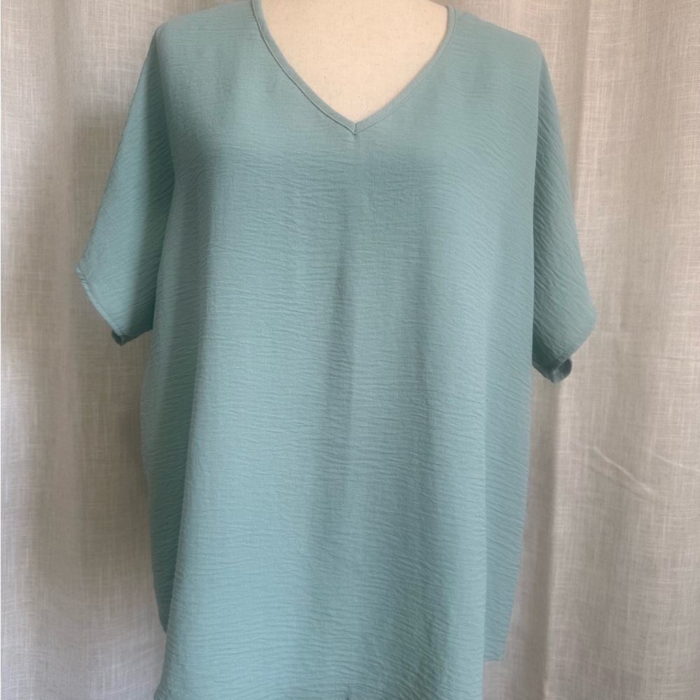 Entro Women's V-Neck Blouse - Soft Teal Size Medium
